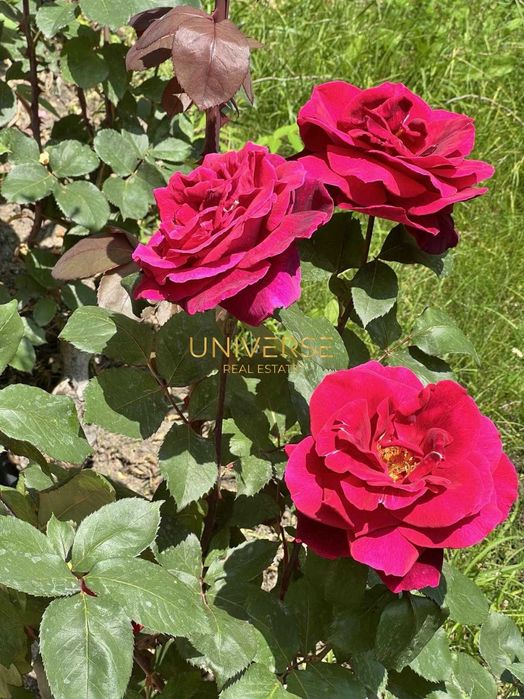 Продава се Двустаен апартамент в Свети Влас - 68 кв.м за 1427 €/кв.м - Снимка #16