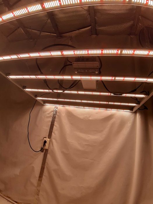 Mars Hydro FC - E6500 730w led grow light