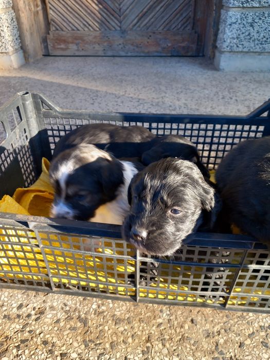 Сетерчета от работещи родители