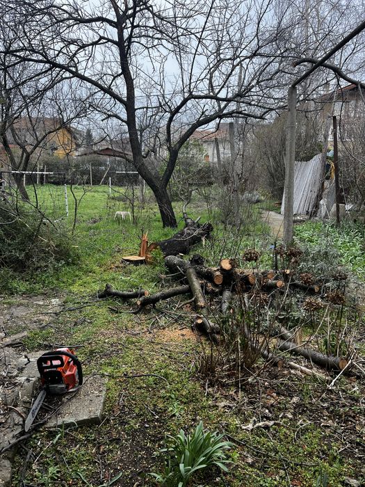 Почистване, поддръжка на дворове и градини