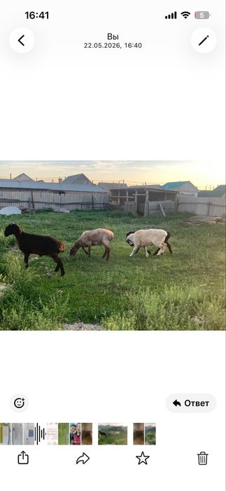 Продам, каждая 140.000