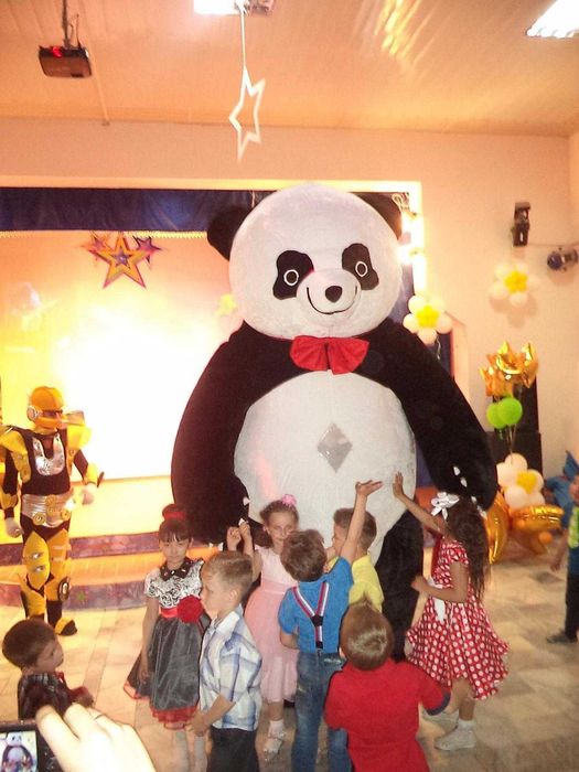 мишка панда мишка панда