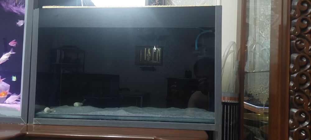 Akvarium + filtr+ qum sotiladi