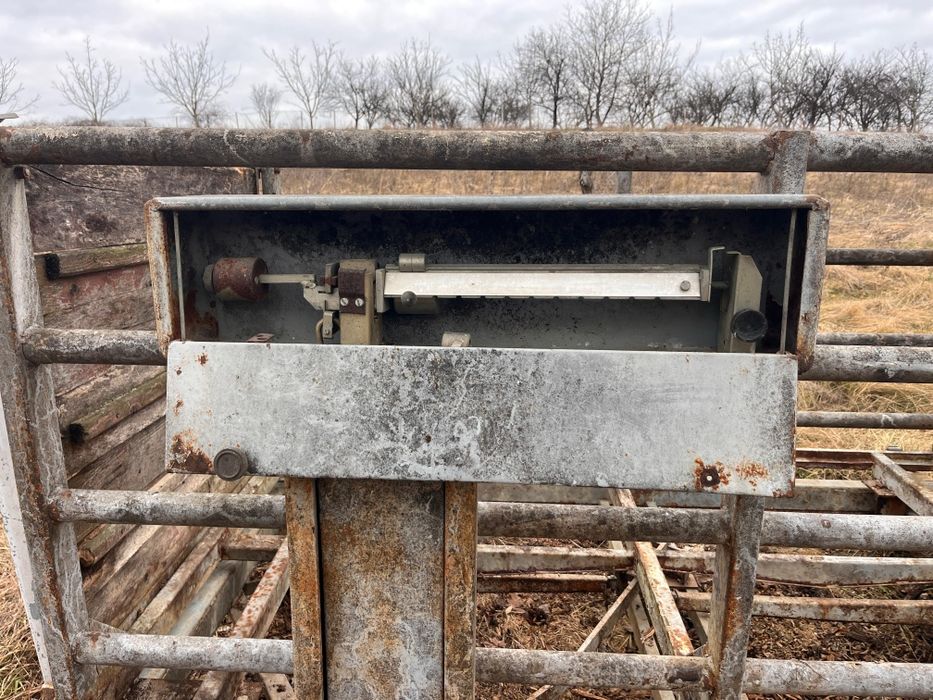 Vând cantar pentru animale