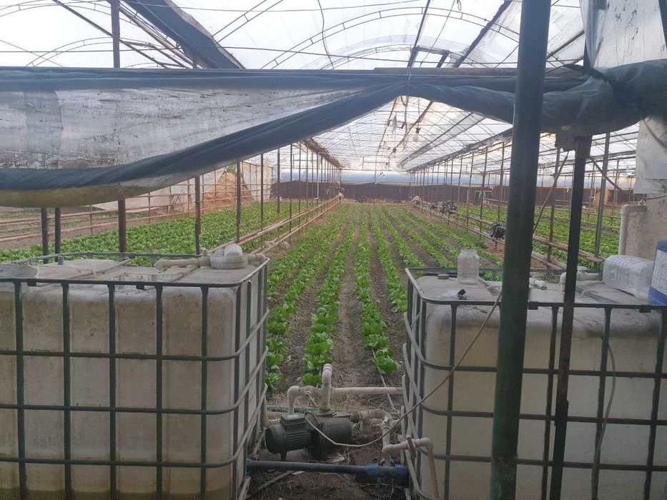 Продается земля  21 сотка Багиш, ориентир  Уртасарай  Авангард