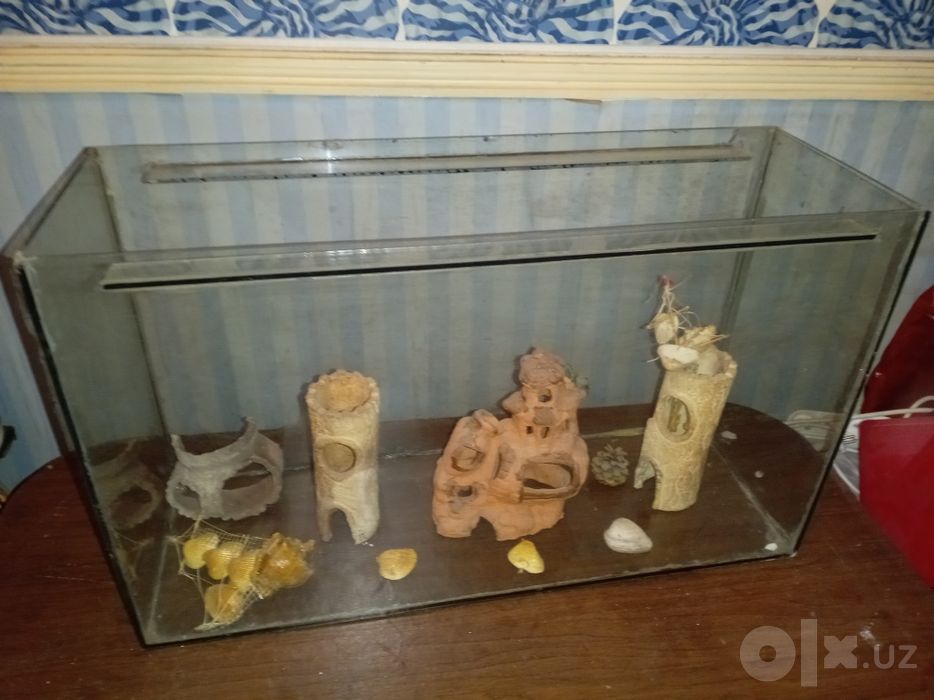 2 аквариума, обогреватель, причендалы