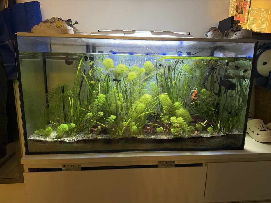 Acvariu 200l ca nou