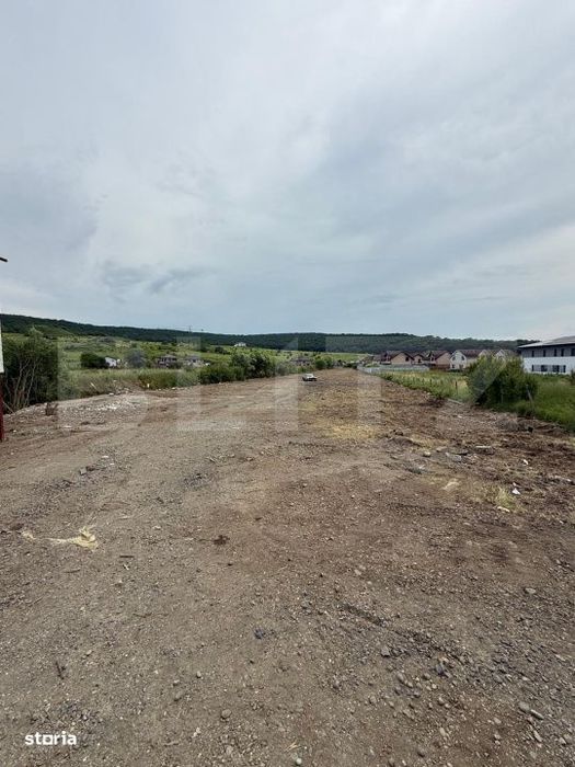 Teren de vanzare, 4992 mp, zona Livezeni