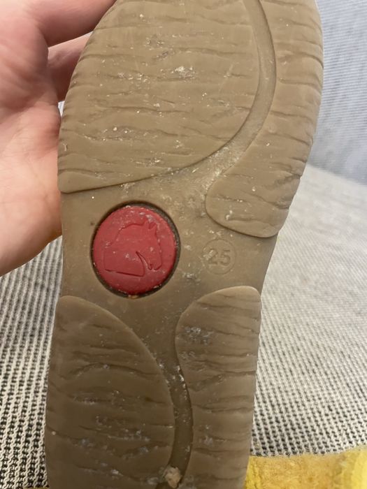 Botosi interior Haflinger masura 25