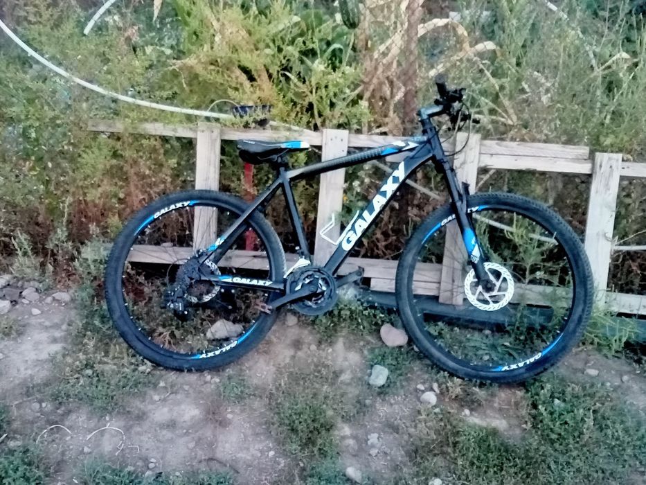 Обмен на щеньку спаниель чистый