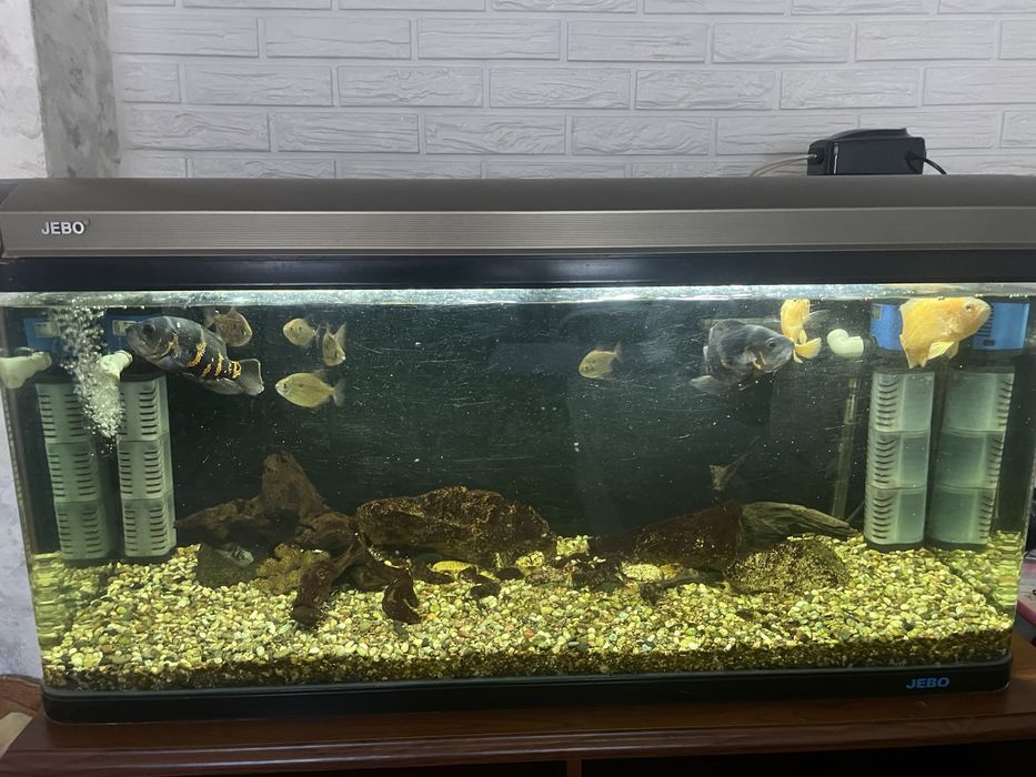 Продам аквариум Jebo 300л