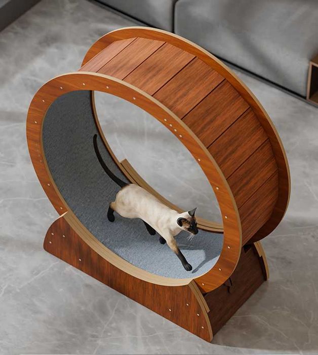 Колело - бягаща пътека за котки