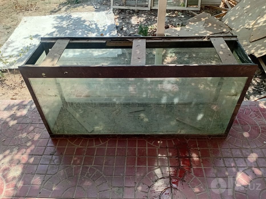 Akvarium Horati yaxshi