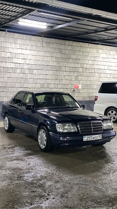 Ромашка титанка R 16