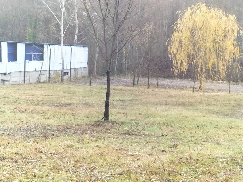 Teren de inchiriere eventual vanzare