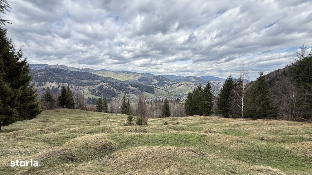 Teren izolat fără vecini, inconjurat de pădure, 1.02 ha