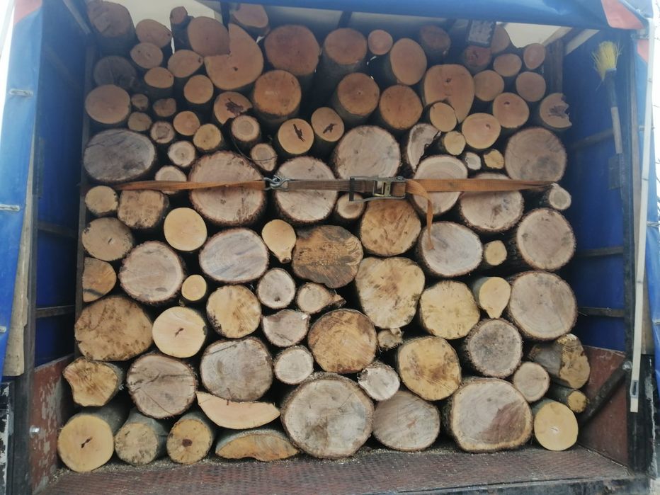 Lemne fag și stejar