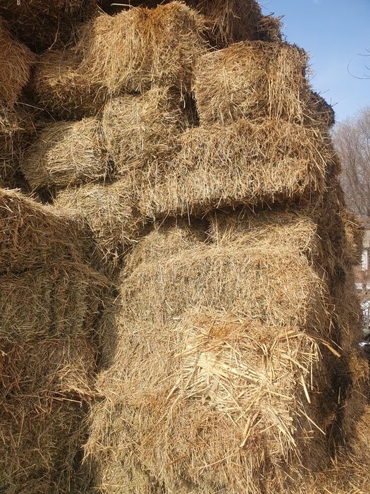 Продам сено в тюках