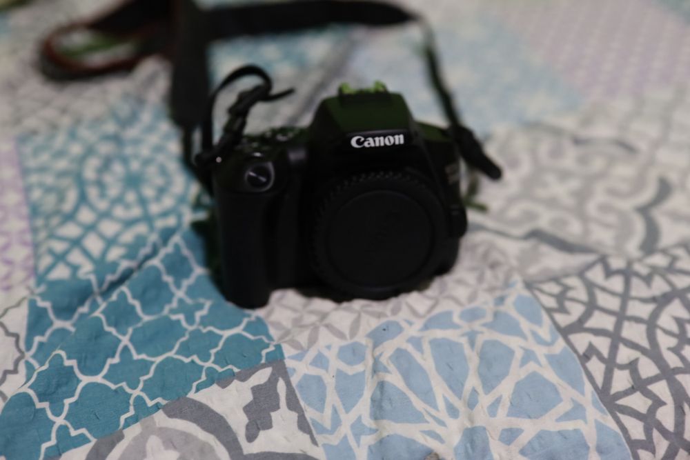 Aparat foto Canon EOS 250D