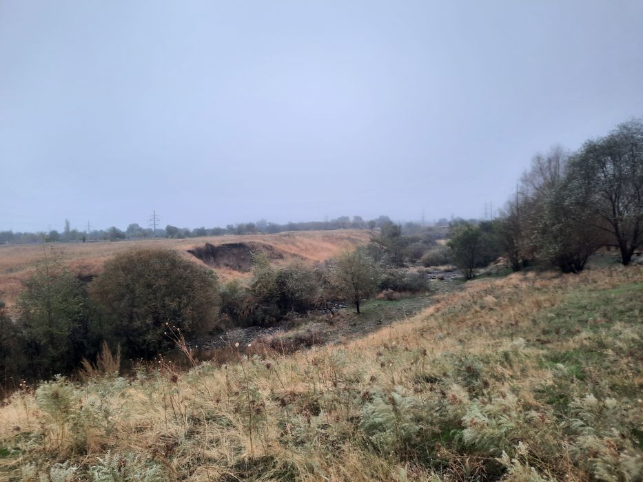 земельный участок