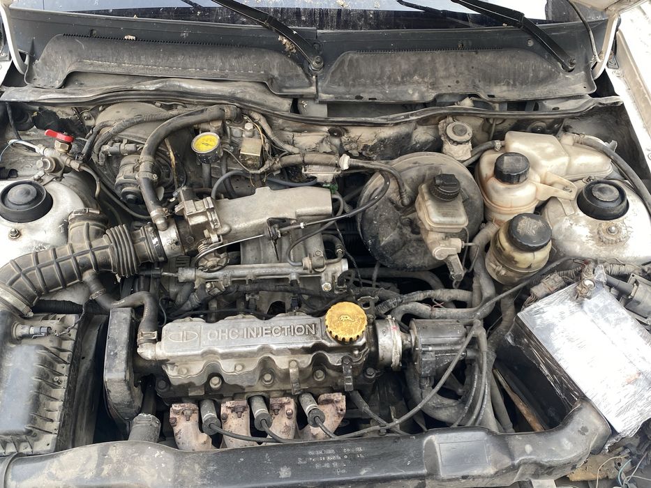 nexia 1 sons trambilorxolati urtacha luboy dakumet buladi