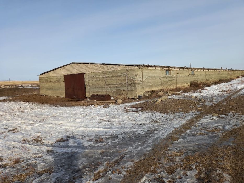 Продам крестьянское хозяйство