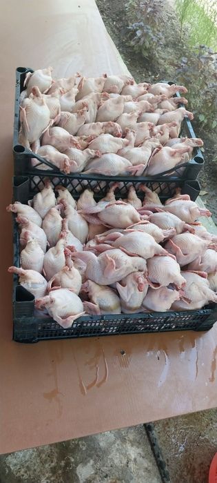 Перепелинное мяса