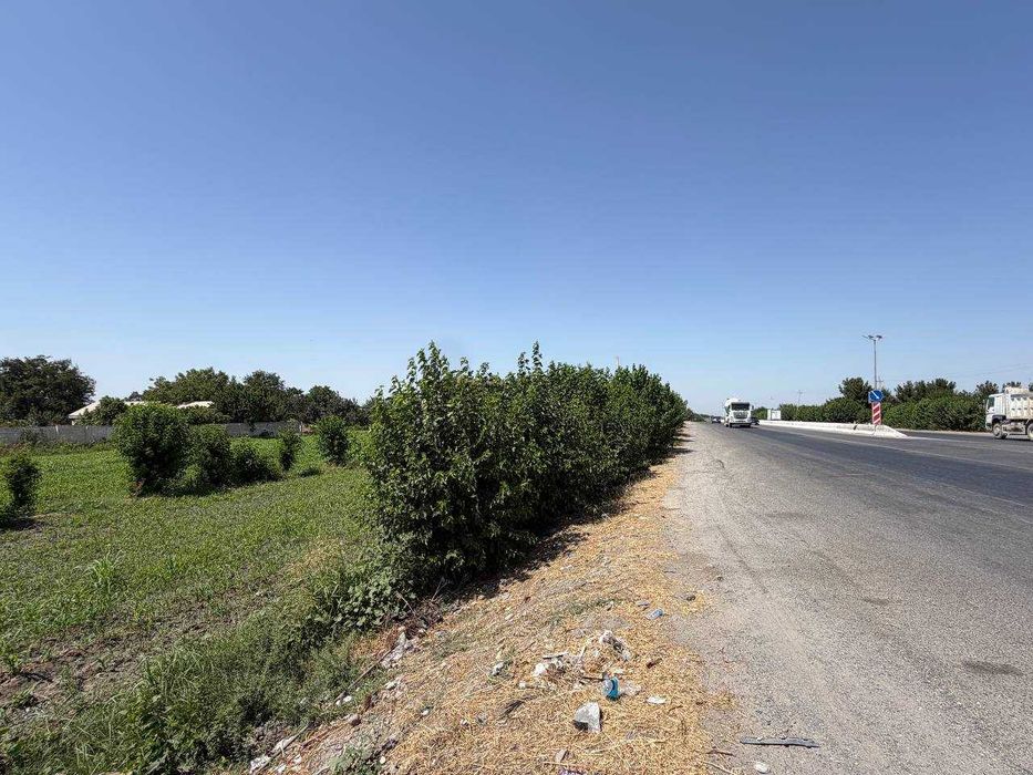 70 sotix trassa bo'yida yer sotiladi Pastdarg'om, Chortut