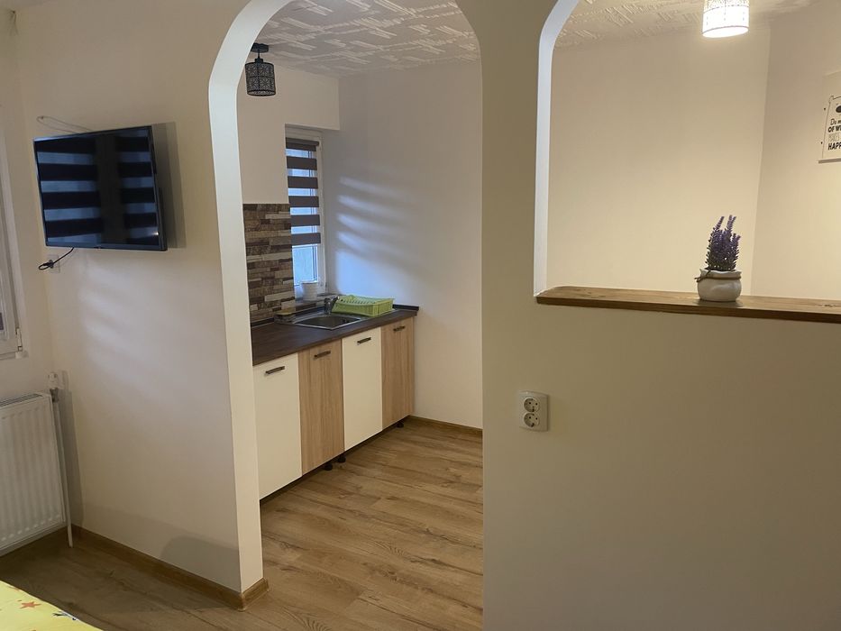 Vila /pensiune de inchiriat termen lung Sinaia ultracentral