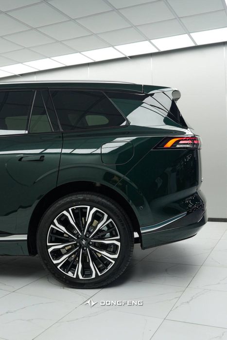 Dong feng ep 008 restayling gibrid