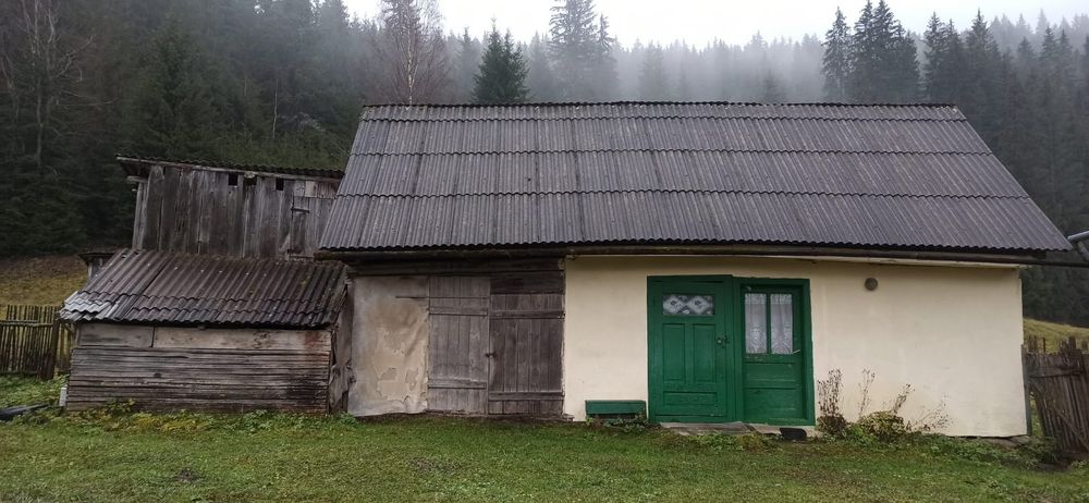 Lemn din construcții