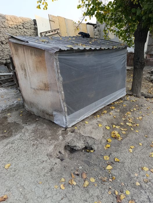 Кафас сотилади котта