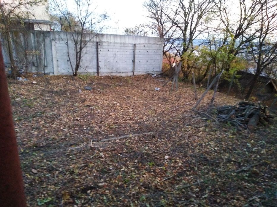 Кастрене и рязане на високи и опасни дървета Варна