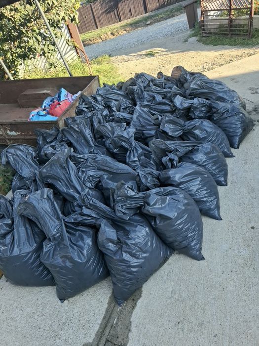 Prune pentru tuica