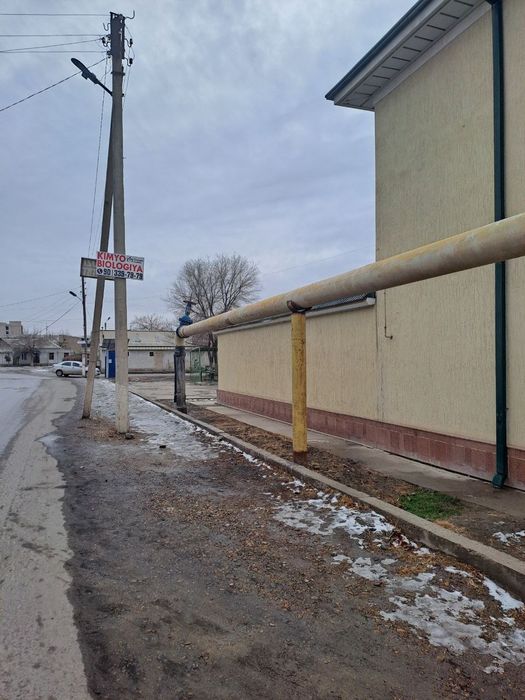 Kotej maslo zavod 2.8 sot uglovoy joylashgan