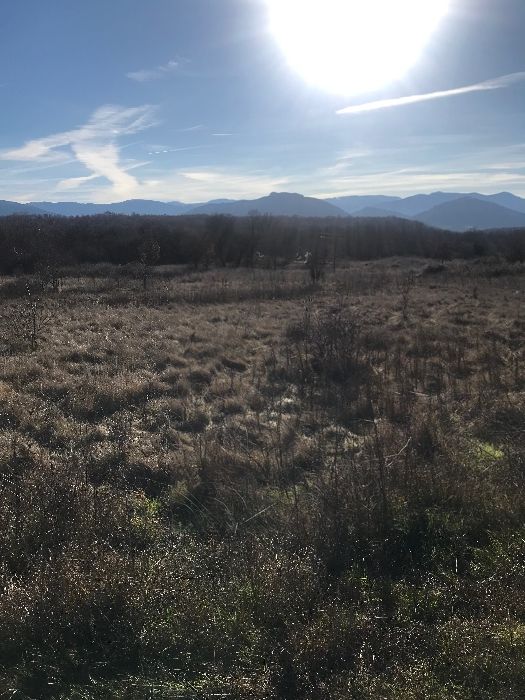 Продава се Парцел в Белоградчик - 7566 кв.м за 4 €/кв.м - Снимка #4