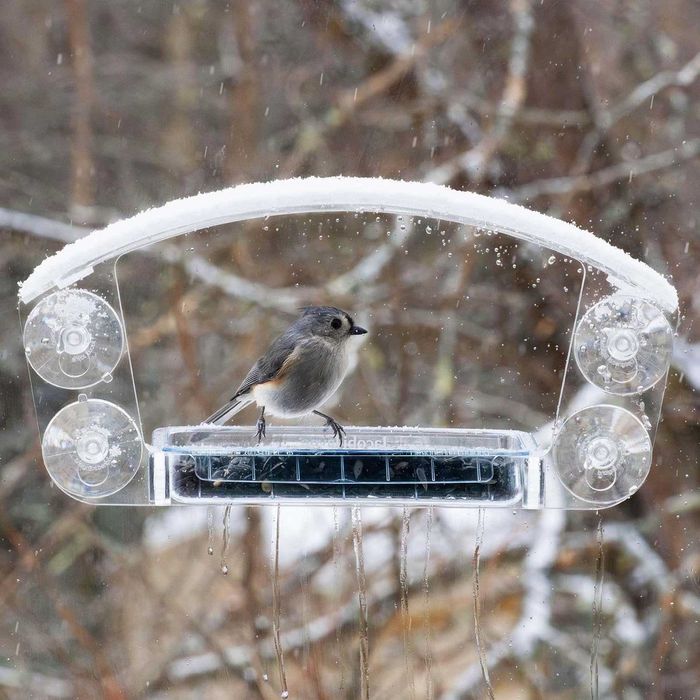 Прозрачна акрилна къщичка за птици с плъзгаща се тава - хранилка