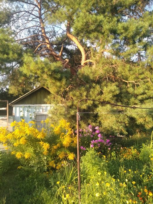 Продам дачу р-н Аэропорт