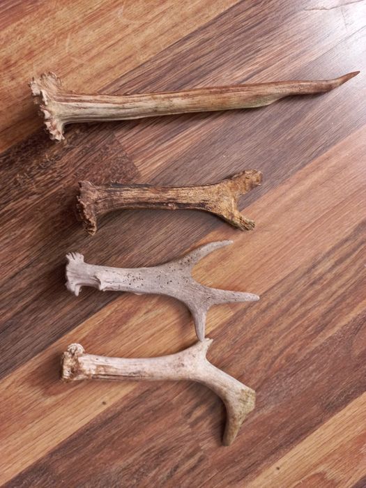 еленски рога различни