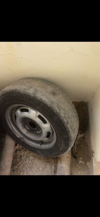 Дискы, балонымен