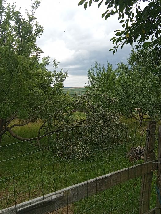 Casa Comsesti cu 1800 m patrati.