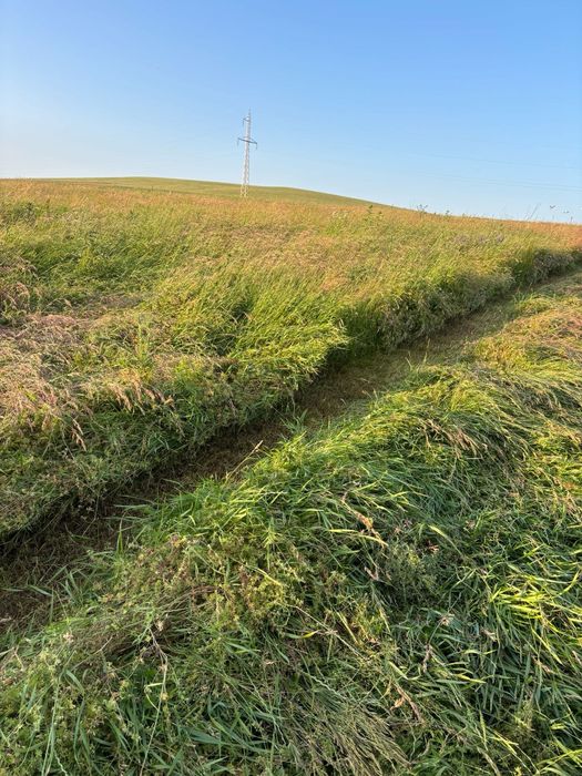 Baloți mari rotunzi amestec ierburi perene