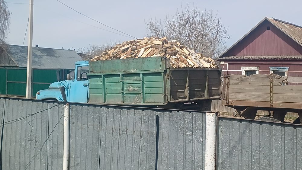 Есть рублейный береза, сосна