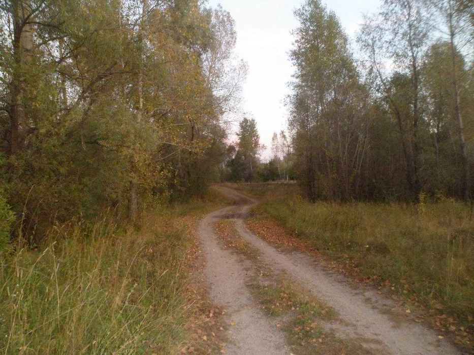 Продам дом в селе Быструха