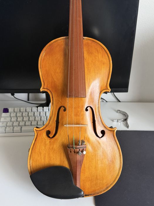 steiner - Instrumente muzicale | OLX.ro