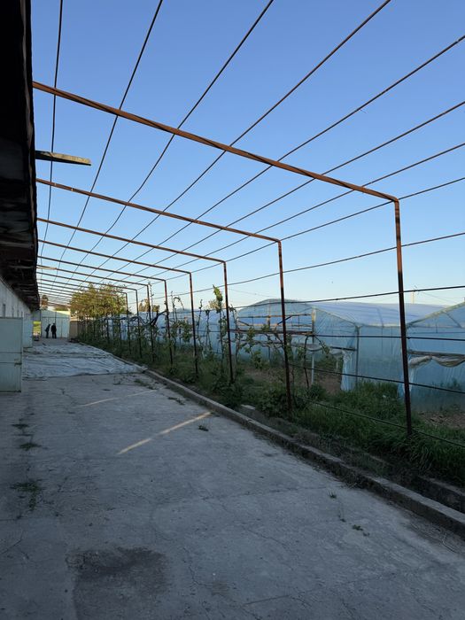 Yangiyol tumanida 65 sotix tayyor ferma va teplitsa sotiladi