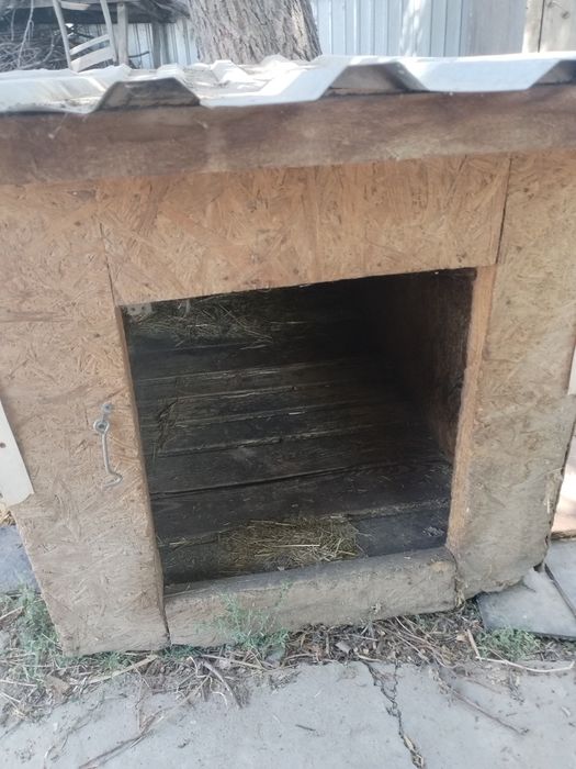 Продам будку для собаки