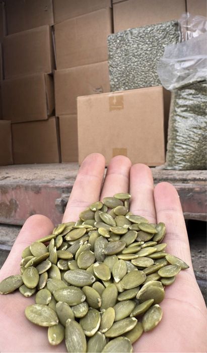 Chia, xelba, zigir, OPTOM