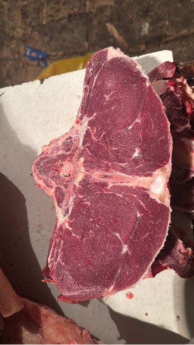 Продам мясо говядины молодняк