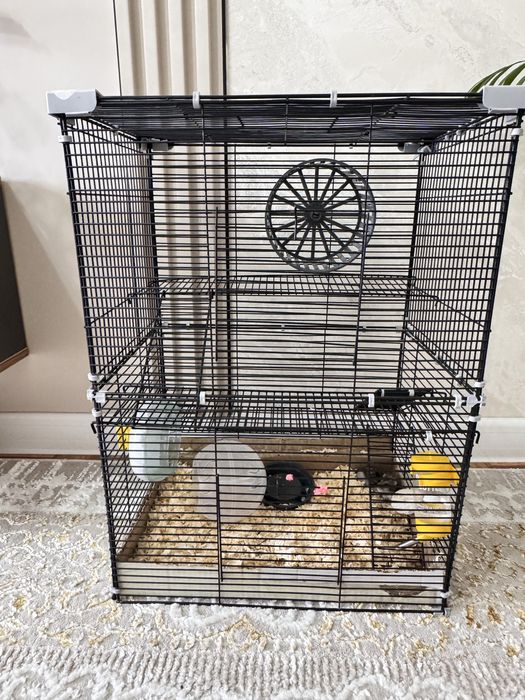 Хомяки,  клетка для хомяков